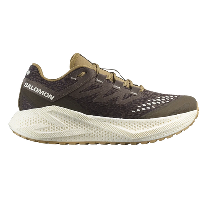 Salomon Men's Aero Glide 3.0 GRVL